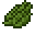 Image of Enchanted Cactus Green