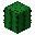 Image of Enchanted Cactus