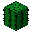 Image of Cactus