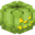 Image of Green Candy