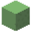 Image of Enchanted Slime Block