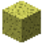Image of Enchanted Sponge