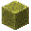 Image of Enchanted Wet Sponge
